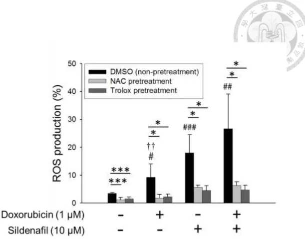 Figure 5. Effect of doxorubicin and/or sildenafil on ROS production in PC-3 cells. 