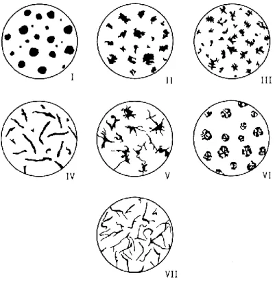 Fig. 2-7 The seven types of graphite established by ASTM Specification A-247 