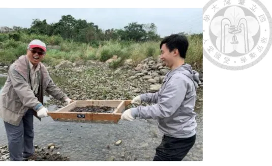 圖 3. 1  砂箱礫石之採集過程（現地篩分析） 