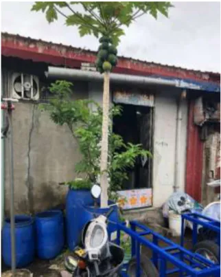 圖  17 居民自製的擋水閘  資料來源：作者拍攝 