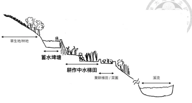 Fig. 2-1 貢寮地區水梯田與田區周遭地形示意圖  注意本圖中各單元的海拔高度順序僅為參考，並非實際的高度關係。繪圖：筆者。 田野地區內的現存水梯田零星坐落於海拔 150 公尺到 400 公尺之內，在地形 限制下，水梯田的耕作自動化程度也較平原地區低。除了獸力或人力耕作外，多 數水梯田的耕作者擁有中、小型中耕機。僅極少數耕作者使用曳引機、小型手推 式插秧機耕作，且需要在田區建築曳引機可過的道路、或重新分配梯田面積與坡 度等特殊規劃。至於大型插秧機、聯合收穫機，則受地形、水田湛水、以及農民 自行孵育的秧苗