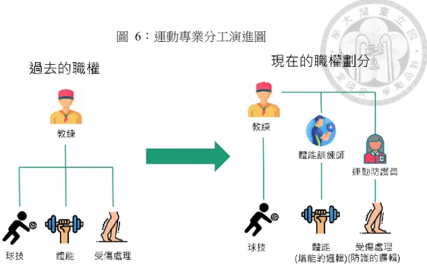 圖  6：運動專業分工演進圖  而即使是在協力共作的合作模式中，體能訓練師與運動防護員之間對於同 一個傷痛的處理，則會依照當時情境有所不同。基於肌力與體能的訓練邏輯， 在能夠掌握選手的狀況下一般則採取更加冒險的作法，相較之下，運動防護的 邏輯則希望不要增加受傷風險。而這兩種專業邏輯一旦發生衝突，在現場的權 力關係則決定了最後會聽從誰的專業考量，也就是教練因其在專業合作關係中 的權力位階，得以決定要聽誰的。而在第三節的例子當中，由於體能訓練師增 能的邏輯與競技文化的親近性，因此在協商的過程中，也比較受到教練的