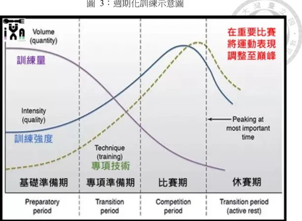 圖  3：週期化訓練示意圖  圖片資料來源：運動筆記 47 從 Sam 的顧慮可以看到他在規劃訓練計畫時早已預期哪個時候的訓練效果 會因為訓練強度與訓練量的增大而變差。但訓練效果變差顯然有可能讓教練在球 技訓練的執行增加成本，對此，肆哥會和體能訓練師進行協調，體能訓練師也會 跟肆哥解釋現在的體能訓練已經到達哪個週期，而肆哥也會提出他現在要選手處 在什麼樣的狀態，藉此確認彼此的共識後，各司其職。在全運會前三天，Sam 因 為檔期的無法對上，於是找了浩哥（化名）來代班，當天也是浩哥這個暑假最後 一次訓練這群選手