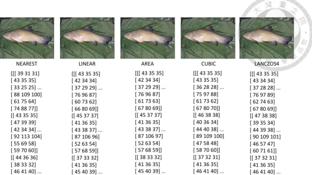 Figure 5: OpenCV Resize result. The image is processed according to different Resize  interpolation options, the upper part is the image result, and the lower part is part of the  pixels in each image