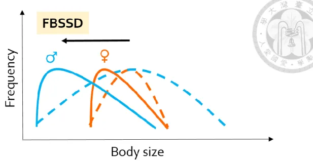 Figure 1. A conceptual diagram showing how sex difference in genetic variation of  body size leads to FBSSD