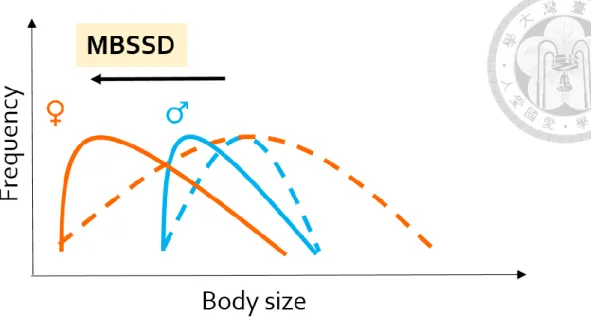 Figure 2. A conceptual diagram showing how sex difference in genetic variation of  body size leads to MBSSD