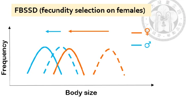Figure 3. A conceptual diagram showing different responses of females and males  toward a smaller body size according to fecundity selection hypothesis