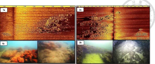 圖 3- 17：水下古城遺跡部分區域影像。(Hamouda et al., 2015)   
