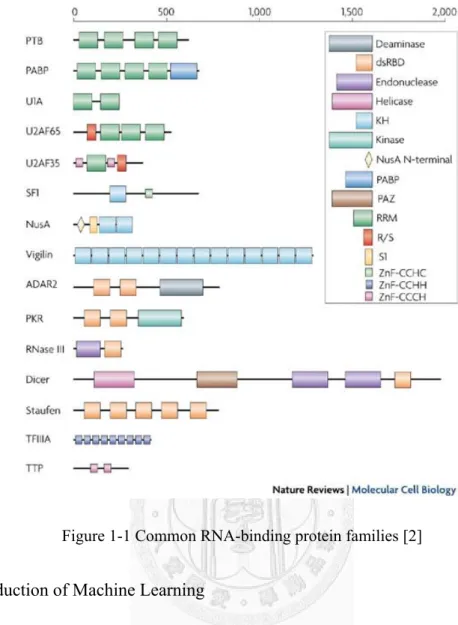 Figure 1-1 Common RNA-binding protein families [2] 