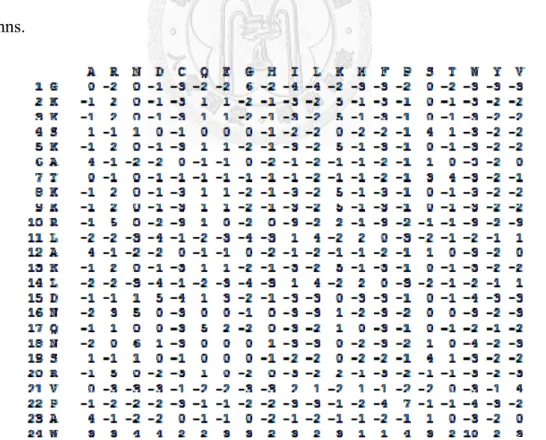 Figure 2-4 Part of PDB ID: 1JJ2_1 PSSM 