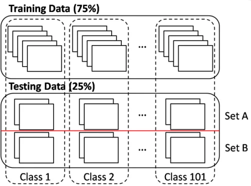 Figure 5.1: Data set used in training the master and the student models