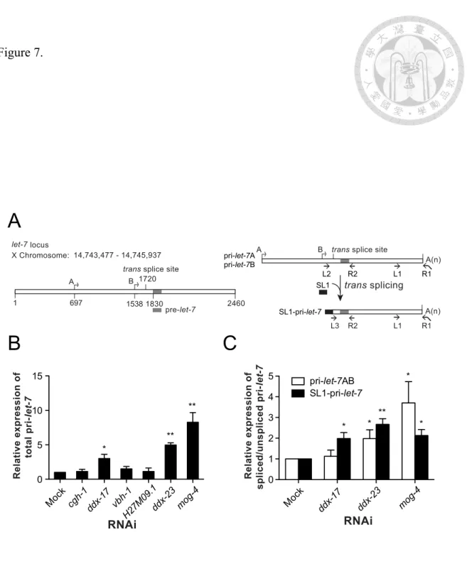 Figure 7.  Moc k  cgh-1 ddx-17  vbh-1 H27M09. 1 ddx-23  mog-4051015*****