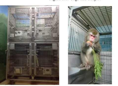 Figure 2.1: Cage and Subject