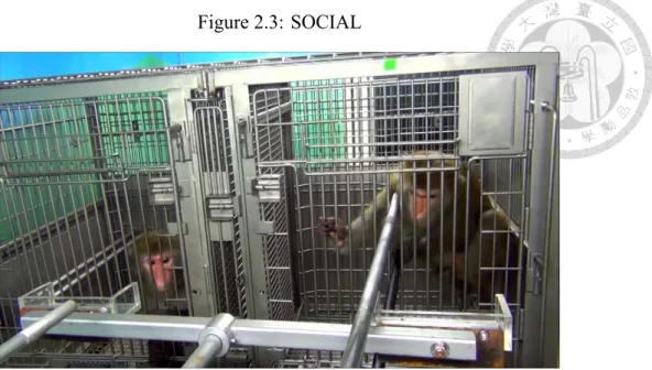 Figure 2.3: SOCIAL