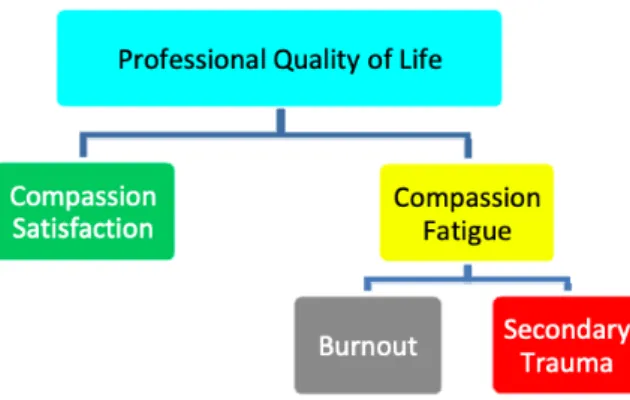 圖 3：Stamm 專業生活品質模型 