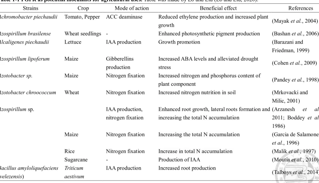 Table 1-1 PGPR as potential inoculants for agricultural uses. Table was made by Lo and Liu (Lo and Liu, 2020)