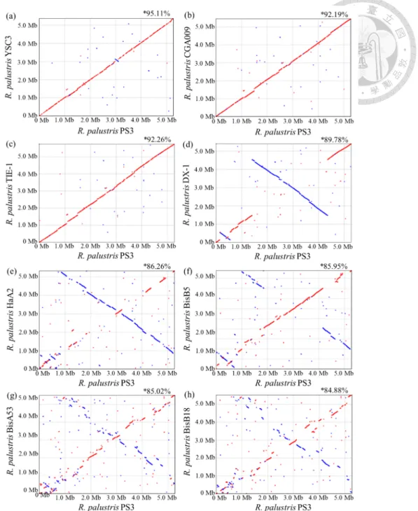 Figure 2-4 Pairwise genome alignments between R. palustris PS3 and other related  strains
