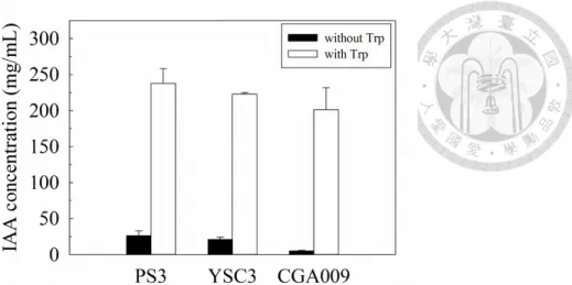 Figure 2-12 Indole-3-acetic acid production of R. palustris PS3, YSC3 and CGA009  strains