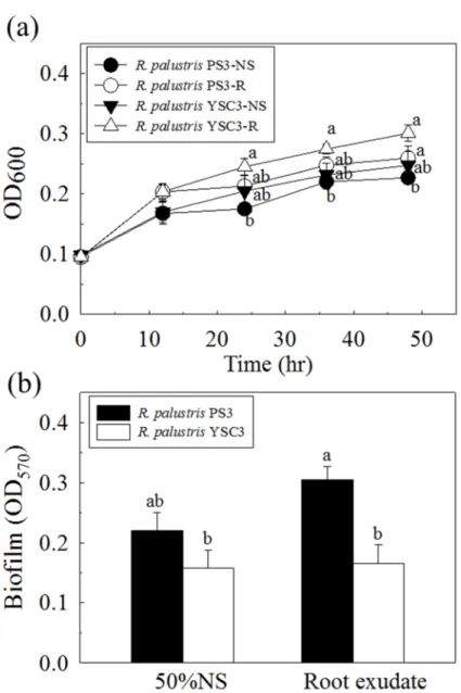 Figure  2-13.  Effects  of  Chinese  cabbage  root  exudates  on  growth  and  biofilm  formation of the R