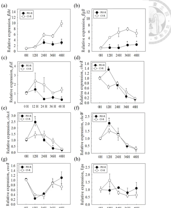 Figure  2-14.  Genes  expression  patterns  of  R.  palustris  strains  in  response  to  Chinese  cabbage  root  exudate  solution