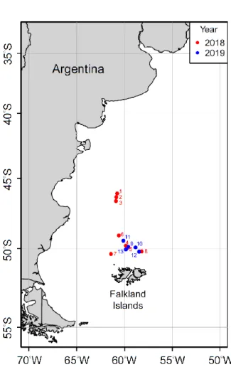 Figure 1. The sampling locations of Illex argentinus in the Southwest Atlantic in 2018  and 2019