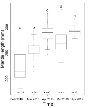 Figure 3. The composition  of mantle length of  Illex argentinus in  different  months of  2018  and  2019