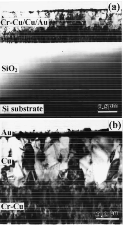 Fig. 2.5 Cross-sectional transmission electron microscopy images. (a) The  Cr–Cu/Cu/Au multilayer on oxidized Si wafer; (b) the enlarged image of the  multilayer in (a)