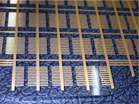 Figure 2.10 The photo of processed wafer after Cu and Au electroplating 