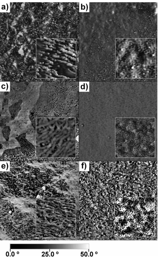 Figure 2- 4 AFM of P3HT: PCBM film. RT films: a) pristine, c) 2min/190 o C, e)  stored at 65 ºC for 1368 h in vacuum, and LT films: b) pristine, d) 2min/190 o C, f)  stored at 65 ºC for 1368 h in vacuum