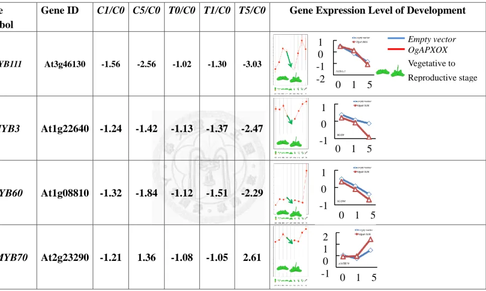 Table 11. Transcriptional profiling of MYB or MYB-like transcription factors. Gene symbol and Gene ID was following NCBI database