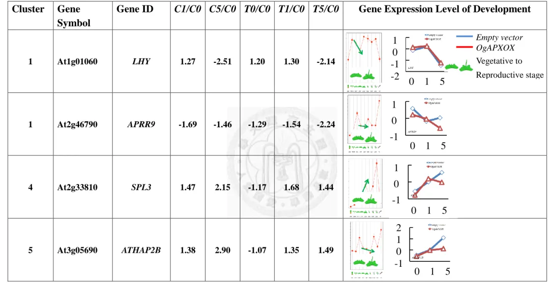Table 13. Transcriptional profiling of circadian genes. Gene symbol and Gene ID was following NCBI database