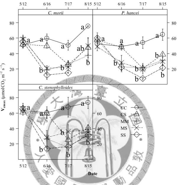 圖 15 三種樹種在不同水分處理後 Rubisco 酵素最大羧化速率 (V cmax , maximal  Rubisco carboxylation rate)  在不同觀測時間之變化 (mean±se)。不同字母標 示者代表在相同時間點不同處理經 LSD 檢定達 5% 顯著水準。森氏櫟之 SS 組之苗木在 8/15 已經死亡，故無資料。 