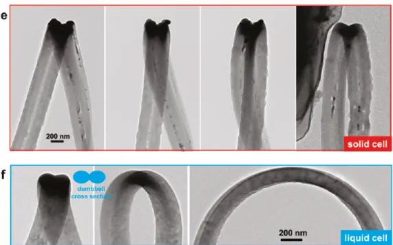 Figure 2.1 The dumbbell-like shape formed in silicon nanowire lithaition (adopted from Liu et al