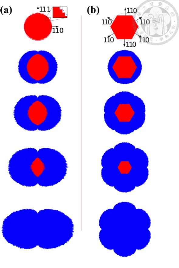 Figure 2.10 The shape of kinetic Monte Carlo simulation in sililcon nanowire anisotropic expansion calculated by Cubuk et al