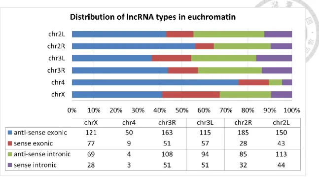 Figure 4.  Distribution of lncRNA types in euchromatin. 