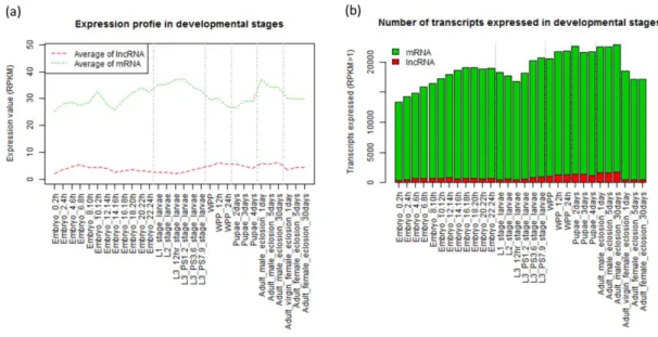 Figure 6.  Expression  profiles  at  different  developmental  stages  of  fruit  fly