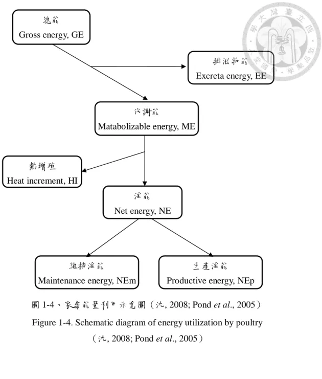 圖 1-4、家禽能量利用示意圖（沈, 2008; Pond et al., 2005） 