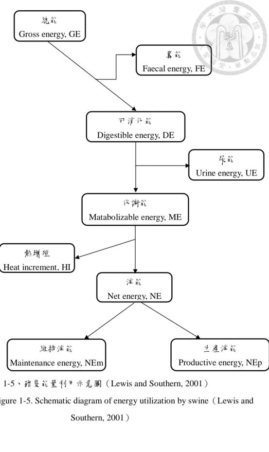 圖 1-5、豬隻能量利用示意圖（Lewis and Southern, 2001） 
