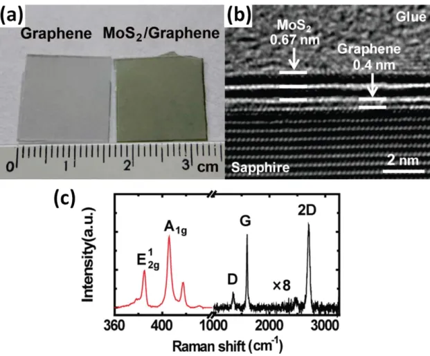 Fig. 1-8. MoS 2  grown on graphene/sapphire substrate. (Fig. taken from M. Y. Lin [18]) 