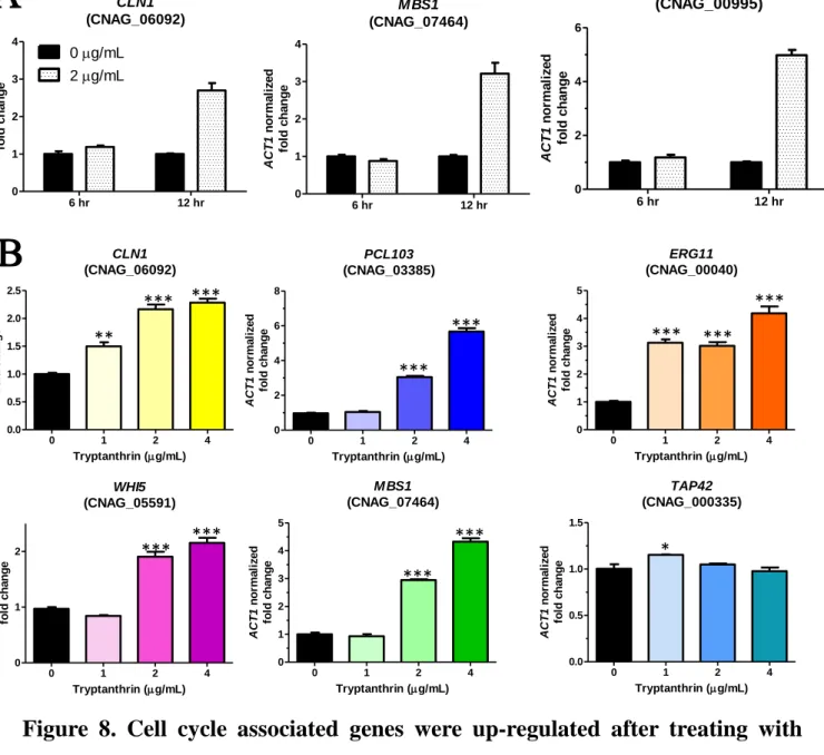 Figure 8. Cell cycle associated genes were up-regulated after treating with tryptanthrin