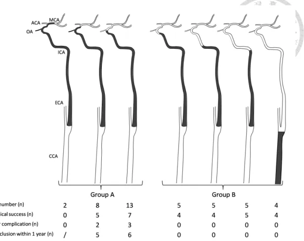 Figure 3-1: Sub-classification of the 42 carotid chronic total occlusions in 41 patients  and their outcomes