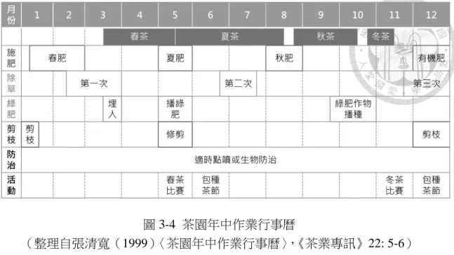 圖 3-4  茶園年中作業行事曆  （整理自張清寬（1999）〈茶園年中作業行事曆〉，《茶業專訊》22: 5-6）  坪林的茶園管理年中行事，與茶改場提供的資訊差異不大；唯綠肥比較少人 種植，有機肥常常和春肥合併施作，化學複合肥則是採收一季施用一次，在採收 前施肥加強生長勢。除草必須依照依照雜草的生長狀況而定，大約半個月到一個 月就要整理一次。我在坪林密集參與農民的茶園管理實作時，適逢七月的盛夏時 節，部分茶農產製秋茶，部分茶農則為冬茶進行前置修剪工作。由於坪林當地的 茶業生產以春茶（國曆四月左右）和冬茶（