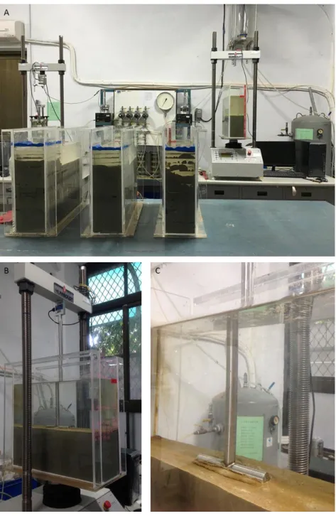 Fig. 3.10 Procedure of shear strength experiment: (A) stand the sediment sample for  consolidation duration