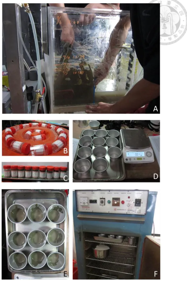Fig. 3.26 Layer density experimental procedure: (A) acrylic layer removal (B) empty  sampling bottles (C) sampling bottles with sediment (D) weighing (E) aluminum bowls 
