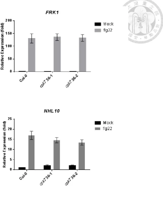 Figure 8. Transcriptional expression of PTI-responsive genes FRK1 and NHL10 