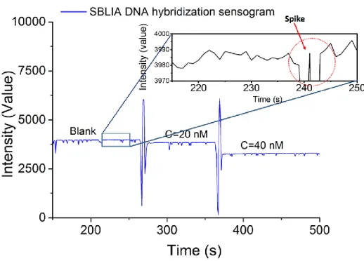 Fig. 12 typical DNA sensorgram of sLIA “smart” biosensor. 