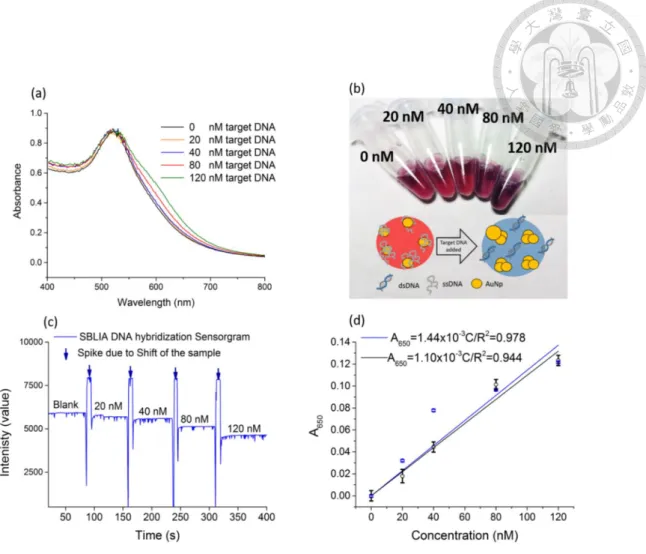 Fig. 15 SBLIA-AuNP colorimetry DNA sensing   