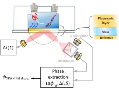 Fig. 18 An overview of SiSPR optical set-up. 