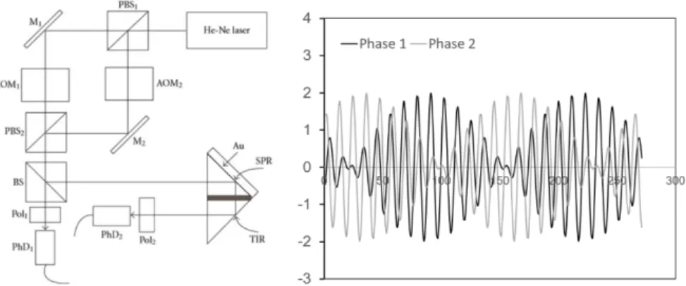Fig. 23 Heterodyne detector (a) optical set-up (b) corresponding interferogram. 