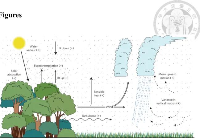 Figure  1.1  Schematic  diagram  of  the  enhanced  convection  over  the  deforested  area  nearby the forest (Anthes, 1984; Lawrence and Vandecar, 2015)